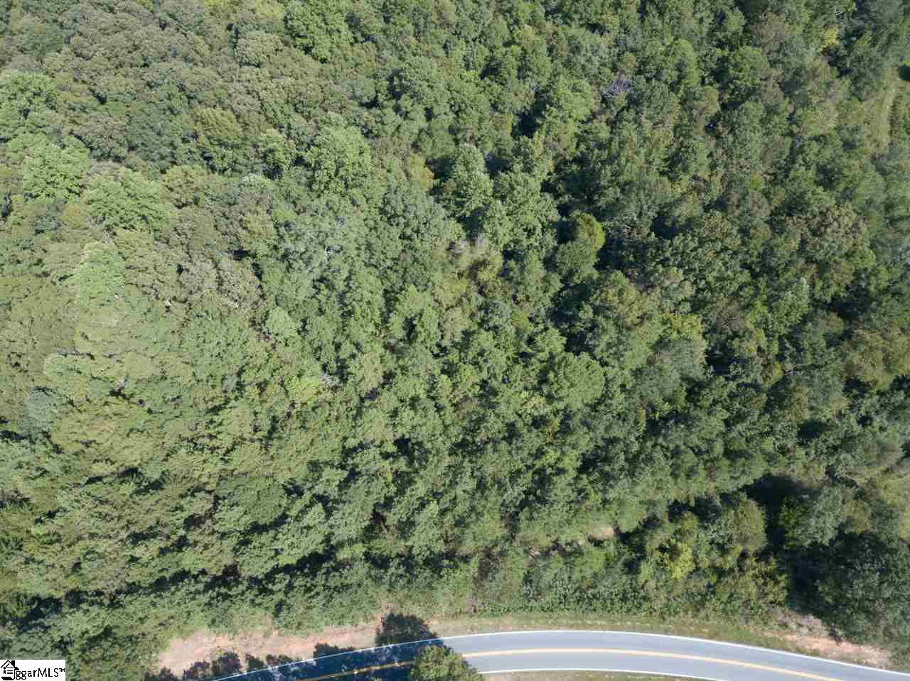 208 Latimer Mill Road, Unit TRACT A Honea Path, SC 29654 - Photo 10 of 19