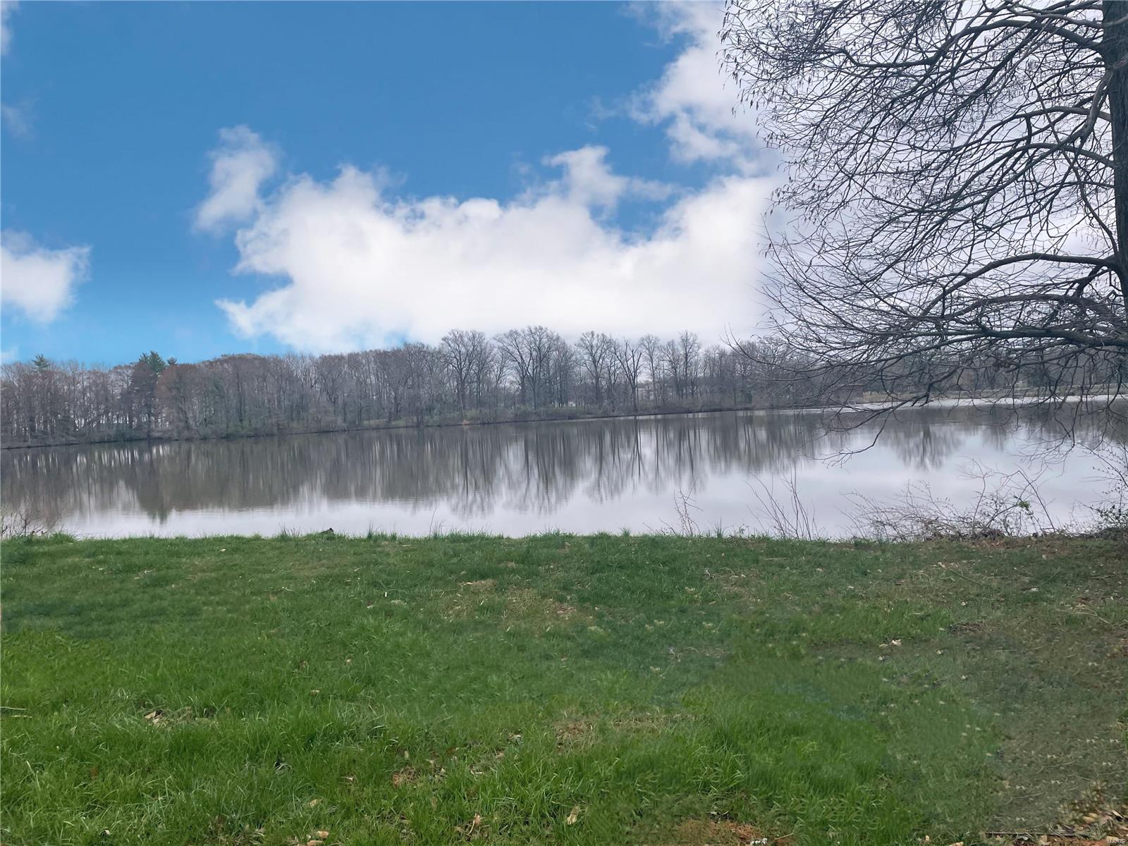 8950 Reservoir Road Nashville, IL 62263 - Photo 4 of 47