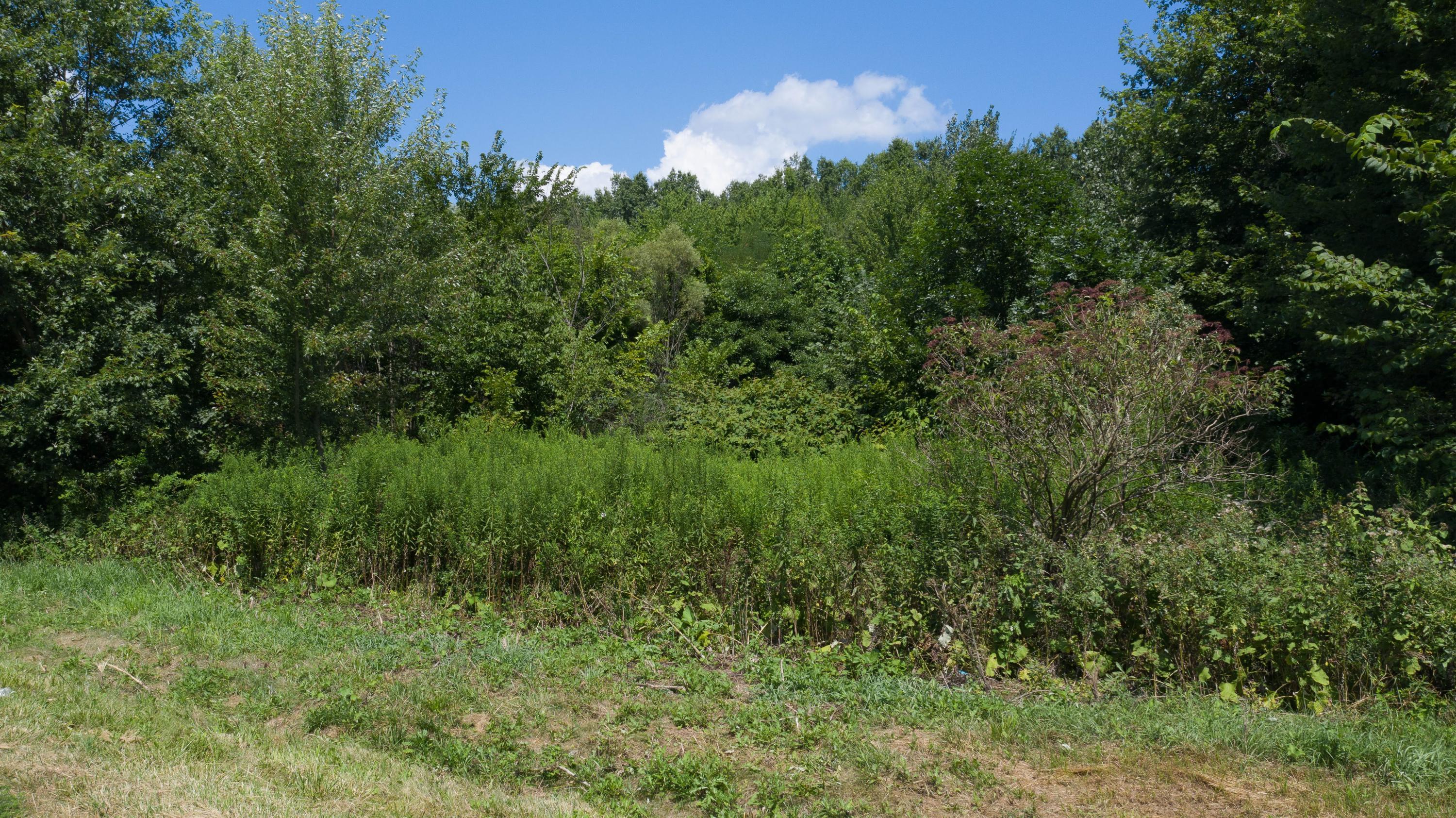 0 Sims Road, Unit LOT #21 & #22 Pataskala, OH 43062 - Photo 2 of 31
