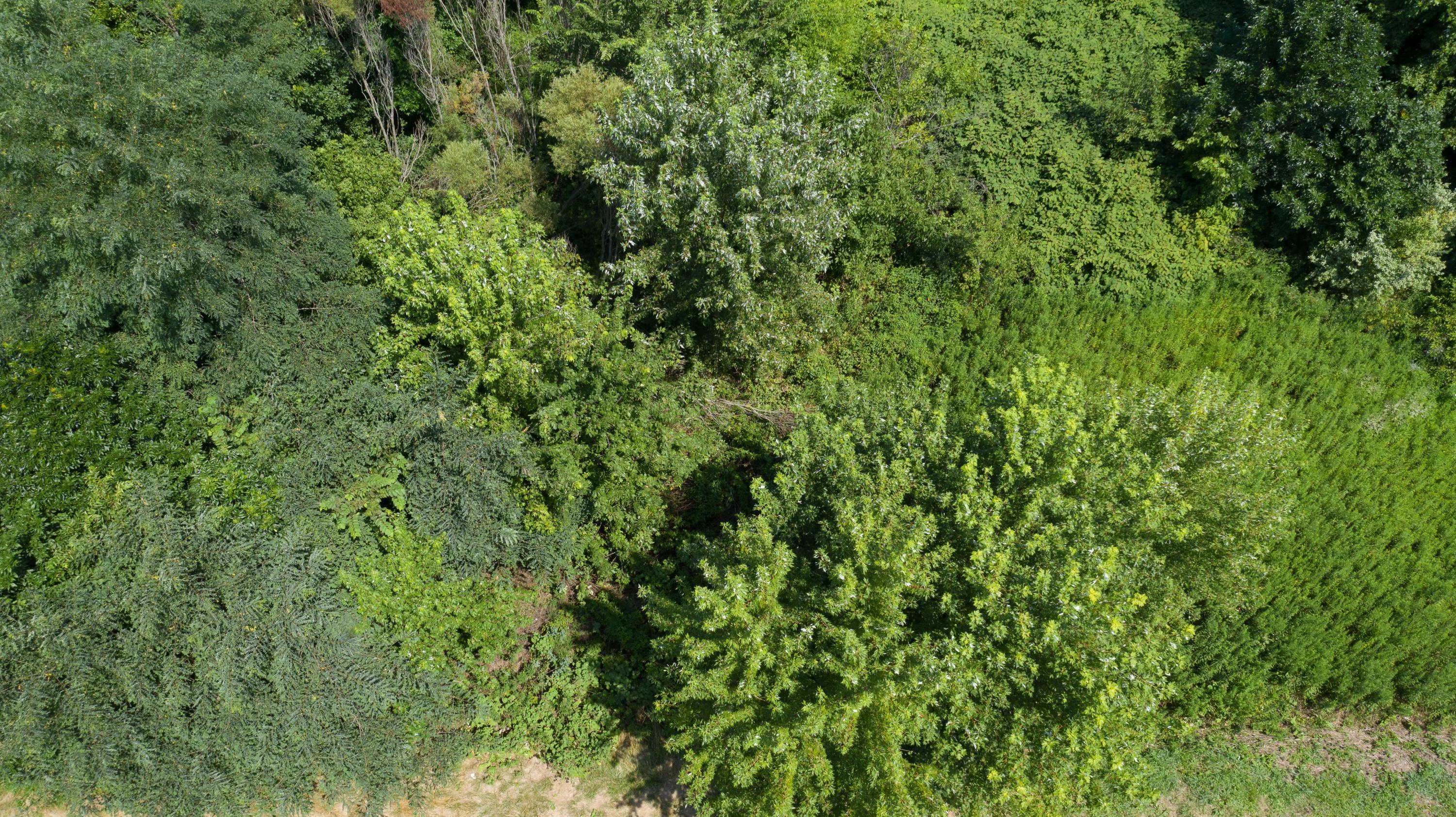 0 Sims Road, Unit LOT #21 & #22 Pataskala, OH 43062 - Photo 25 of 31