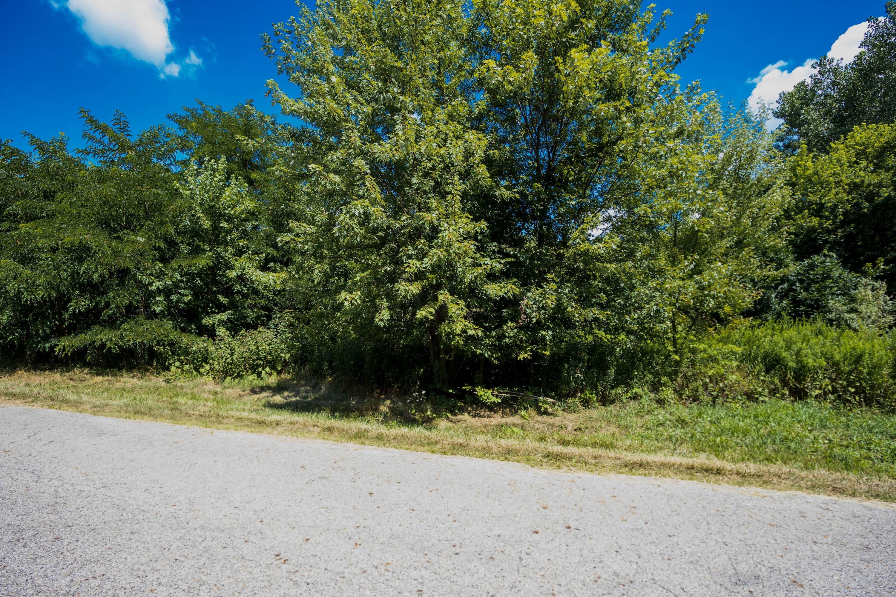 0 Sims Road, Unit LOT #21 & #22 Pataskala, OH 43062 - Photo 6 of 31