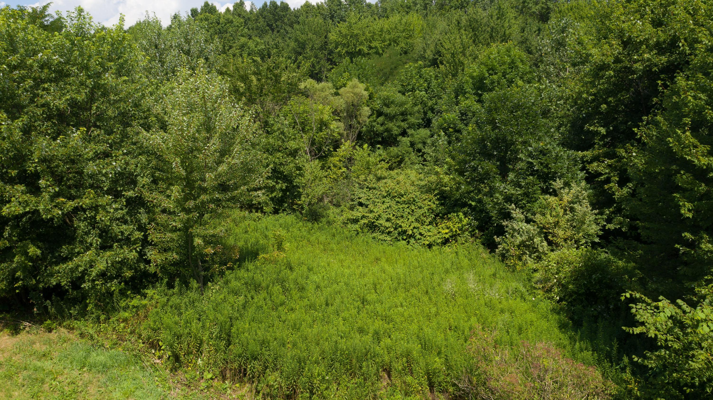 0 Sims Road, Unit LOT #21 & #22 Pataskala, OH 43062 - Photo 8 of 31