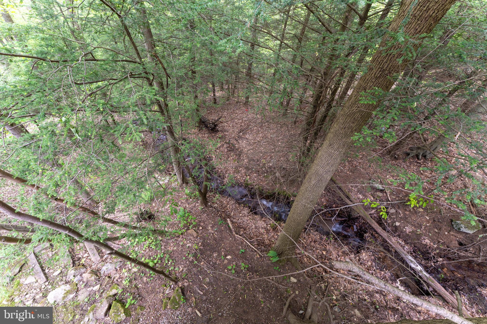 969 Hoyes Run Road McHenry, MD 21541 - Photo 11 of 56 Relax and enjoy the rippling stream