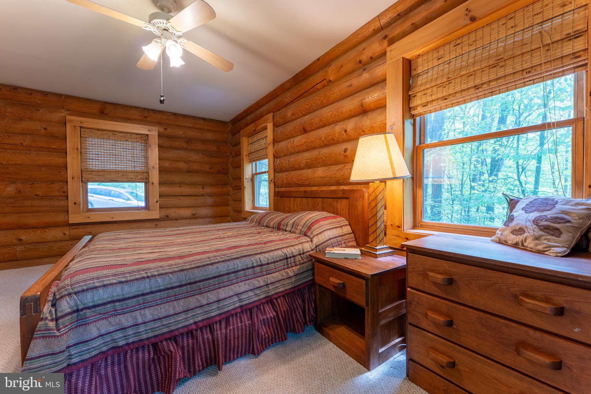 969 Hoyes Run Road McHenry, MD 21541 - Photo 28 of 56 Plenty of daylight