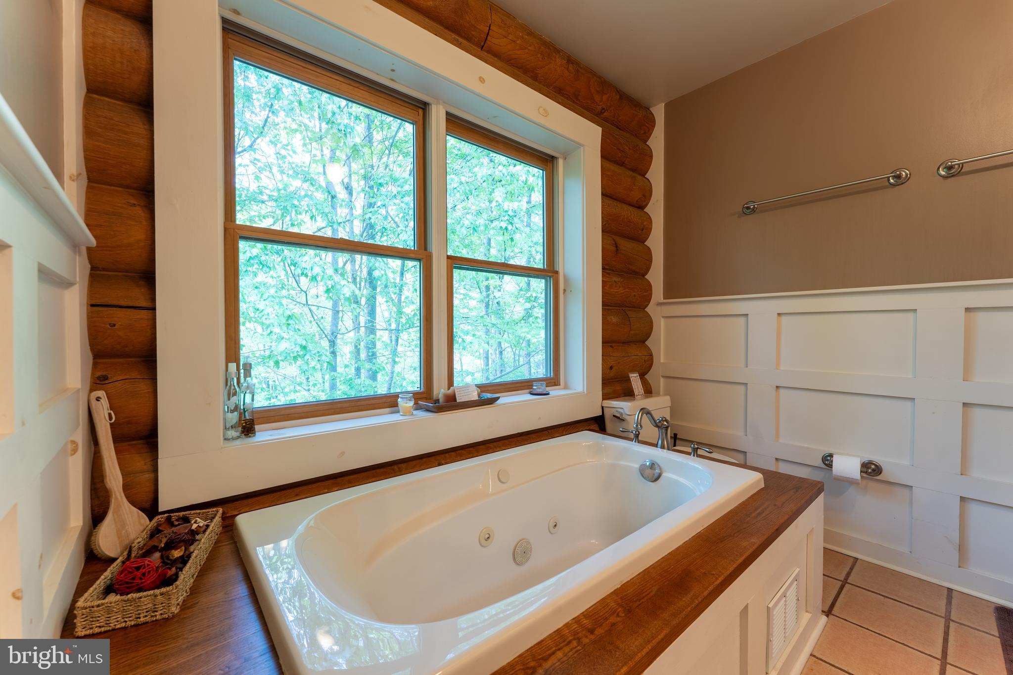 969 Hoyes Run Road McHenry, MD 21541 - Photo 29 of 56 Primary bath with soaking tub