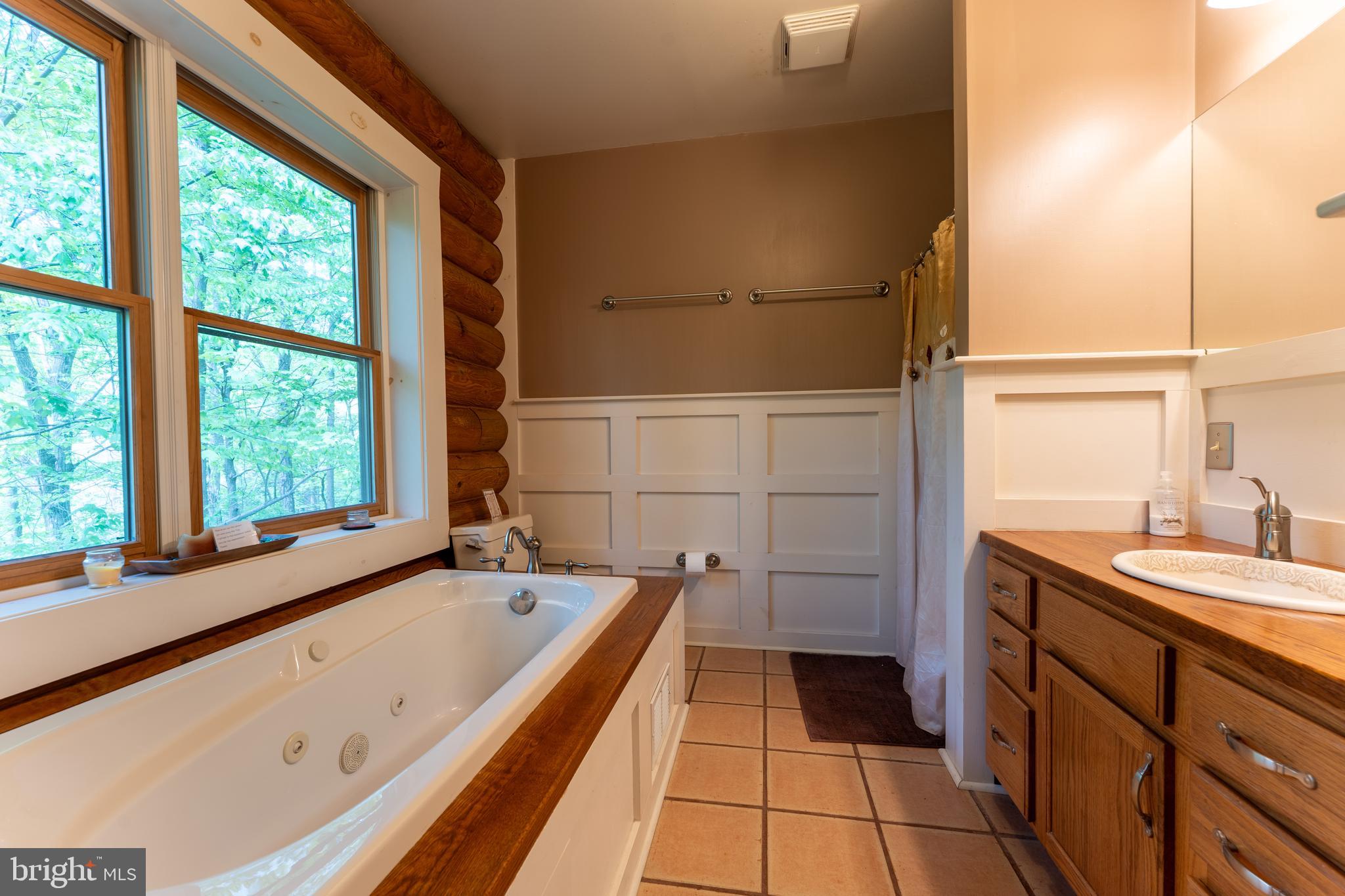 969 Hoyes Run Road McHenry, MD 21541 - Photo 30 of 56 Separate shower in primary bath