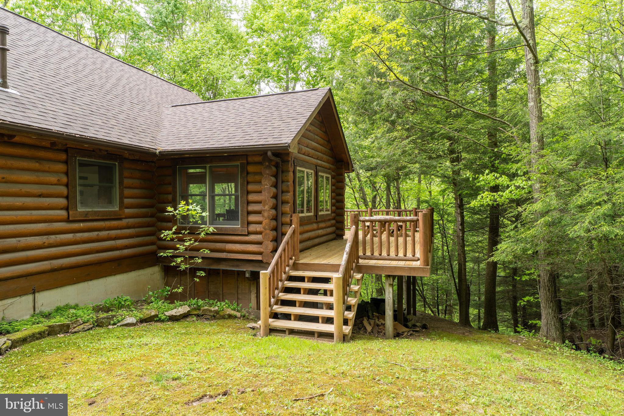 969 Hoyes Run Road McHenry, MD 21541 - Photo 3 of 56 Full enjoyment of nature