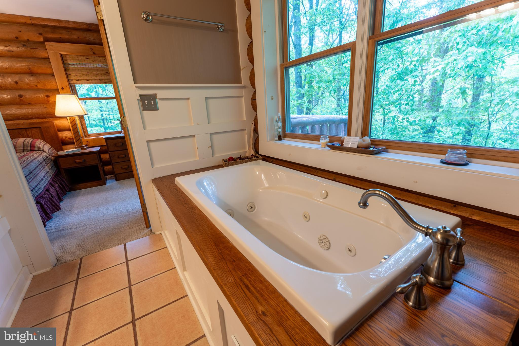 969 Hoyes Run Road McHenry, MD 21541 - Photo 31 of 56 Perfect for apres ski