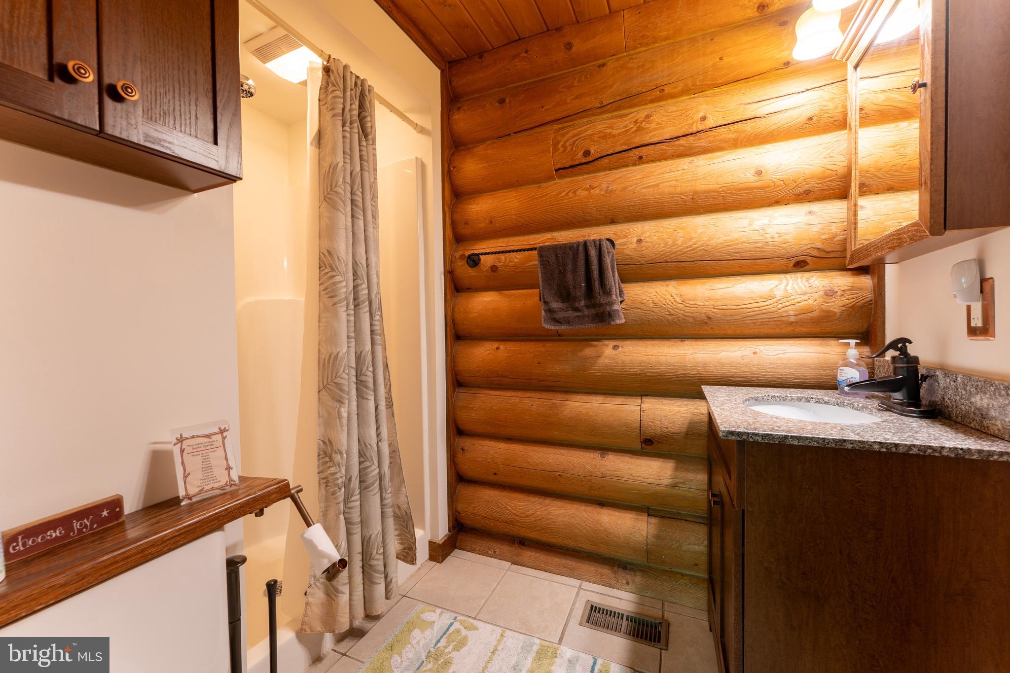 969 Hoyes Run Road McHenry, MD 21541 - Photo 33 of 56 Main level 2nd full bath