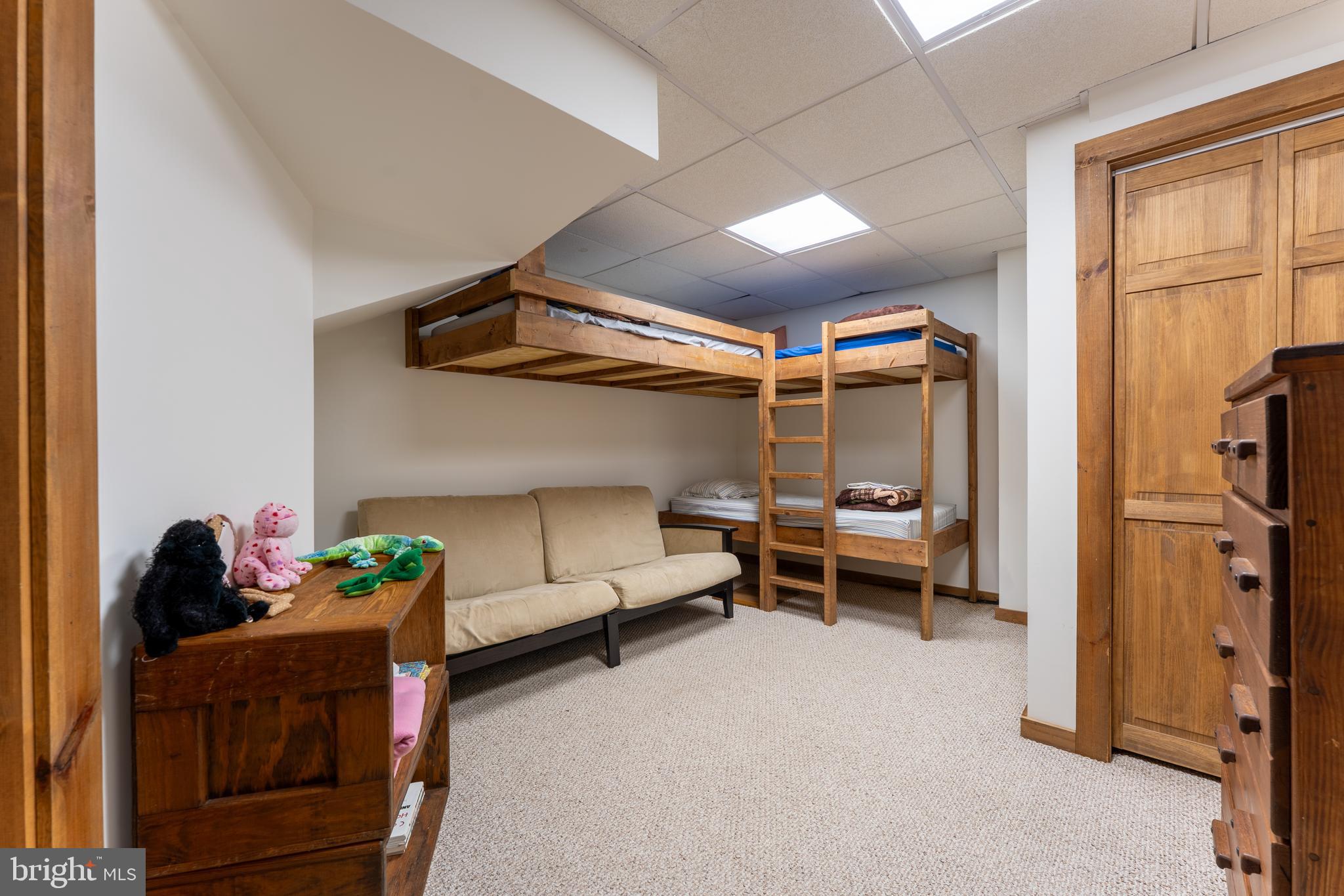 969 Hoyes Run Road McHenry, MD 21541 - Photo 44 of 56 Lower level