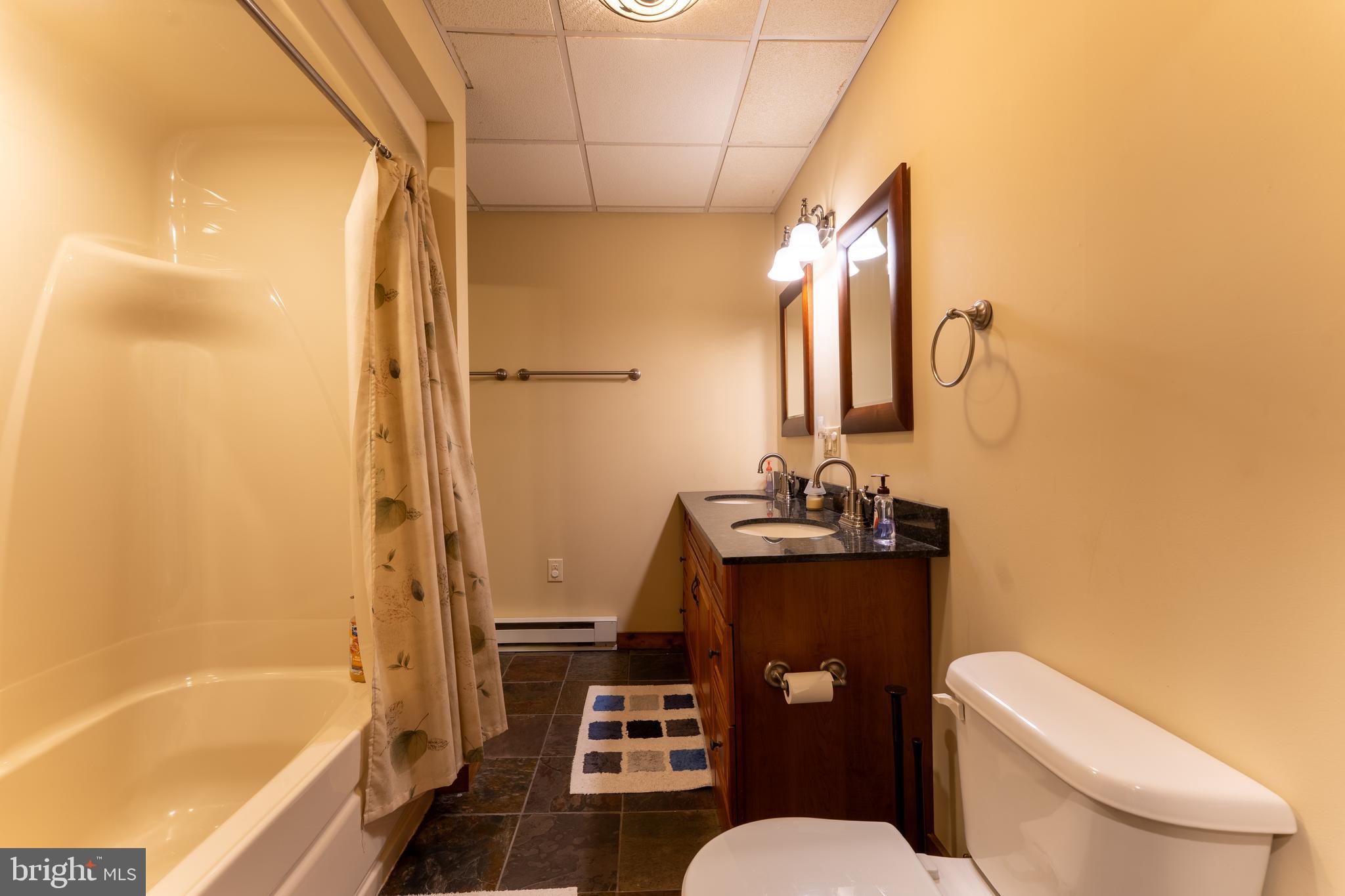 969 Hoyes Run Road McHenry, MD 21541 - Photo 53 of 56 Full bath #3, lower level