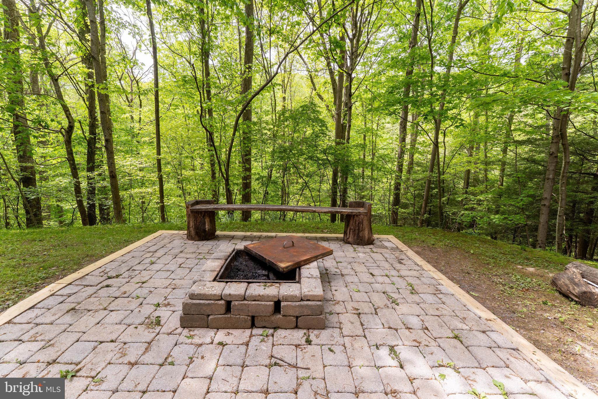 969 Hoyes Run Road McHenry, MD 21541 - Photo 6 of 56 Built in firepit