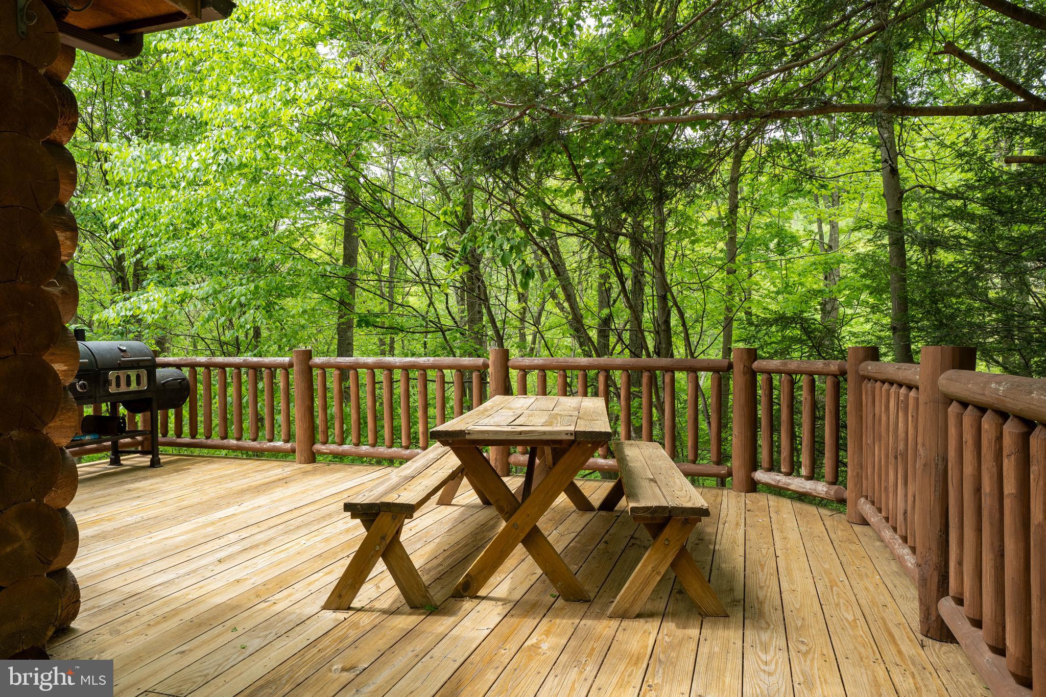 969 Hoyes Run Road McHenry, MD 21541 - Photo 7 of 56 Spacious deck overlooking stream