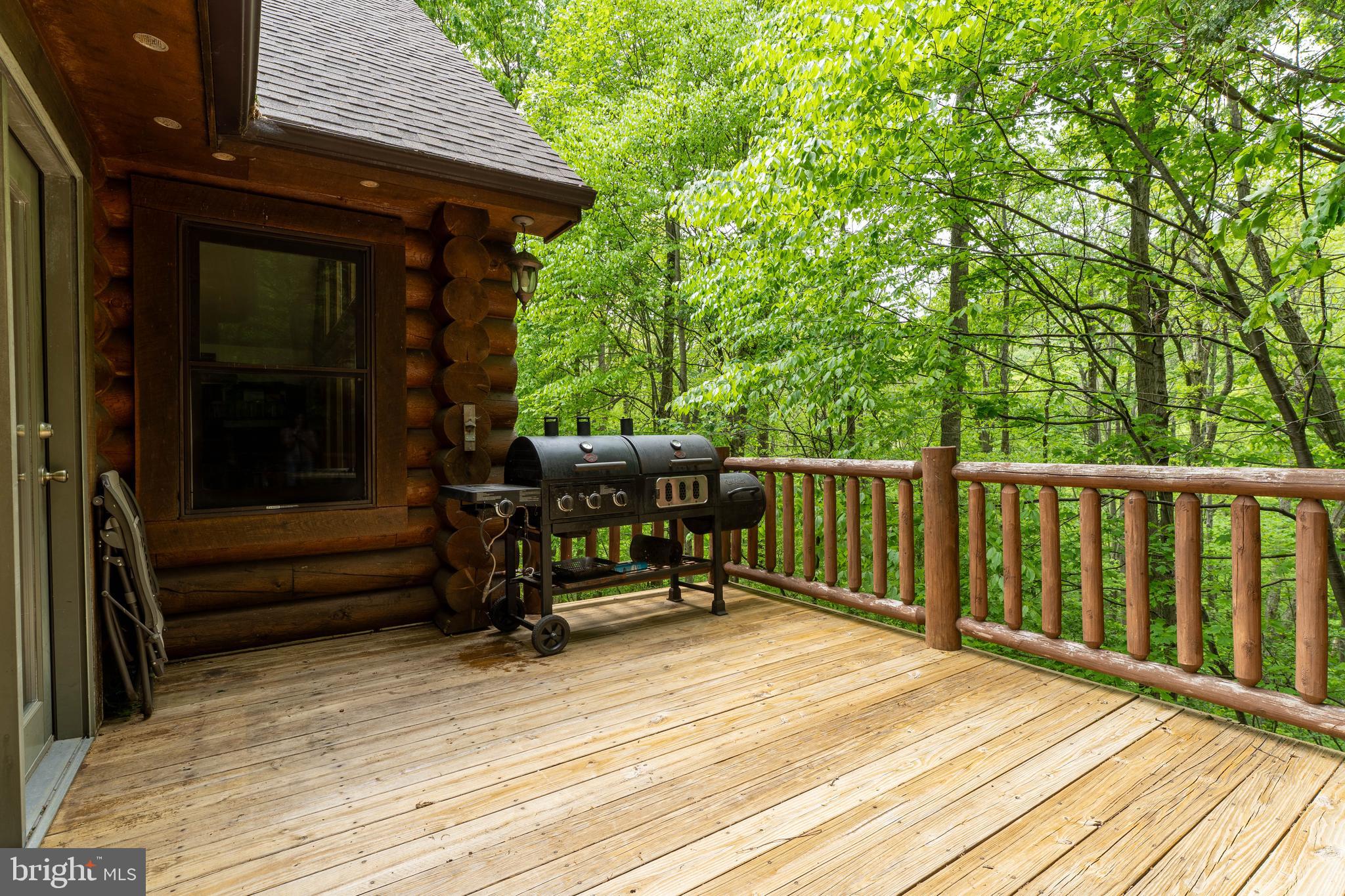 969 Hoyes Run Road McHenry, MD 21541 - Photo 9 of 56 Ready to grill?