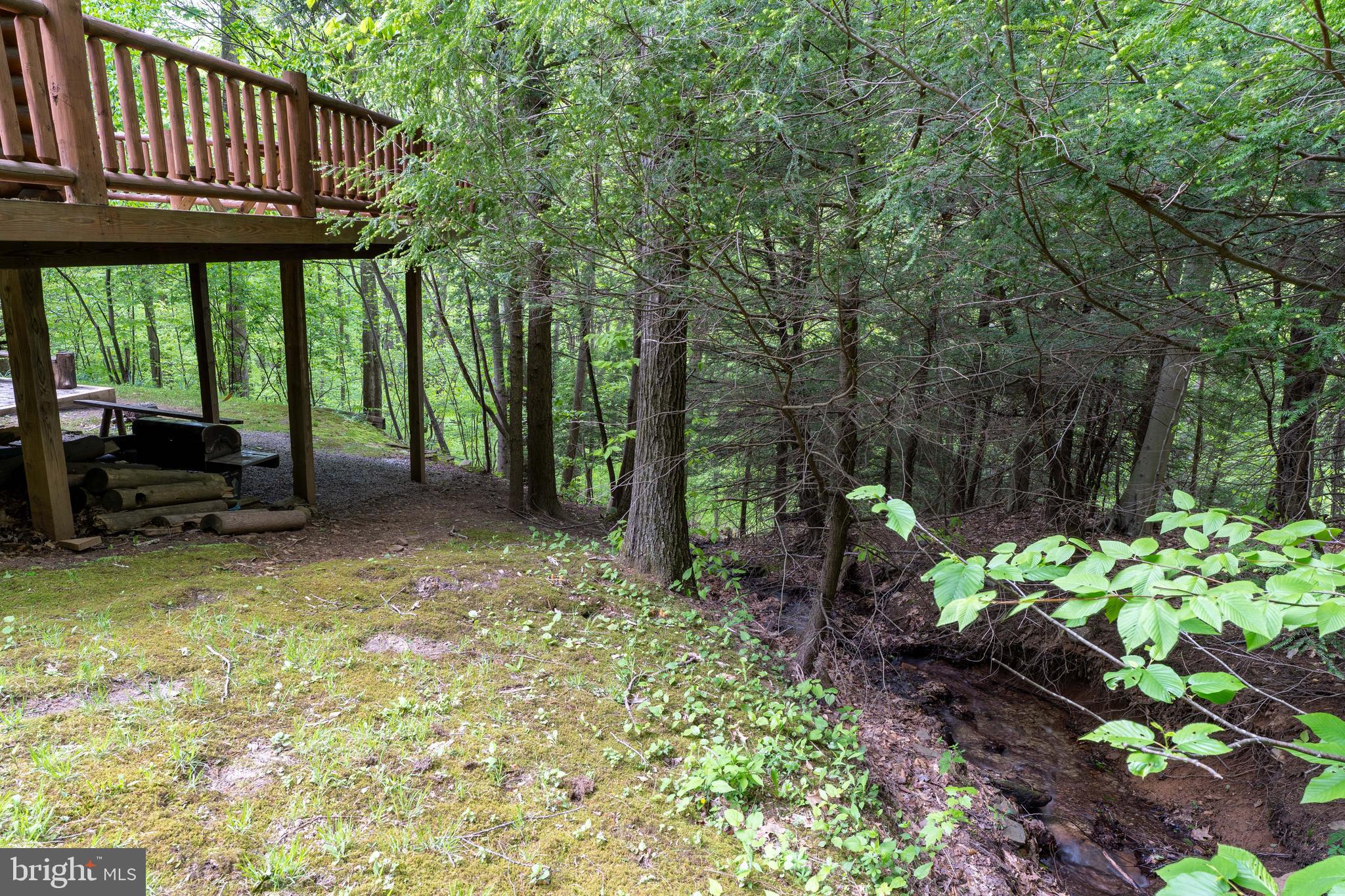 969 Hoyes Run Road McHenry, MD 21541 - Photo 10 of 56 Hemlocks, beech oaks and more!