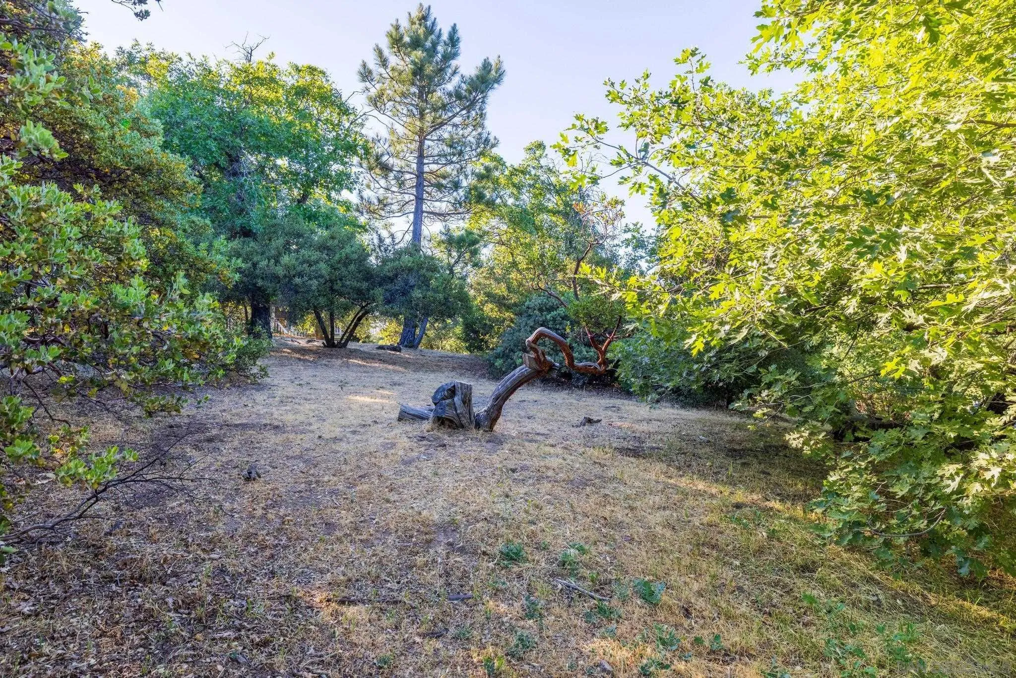 2207 Sunset Drive Julian, CA 92036 - Photo 52 of 65