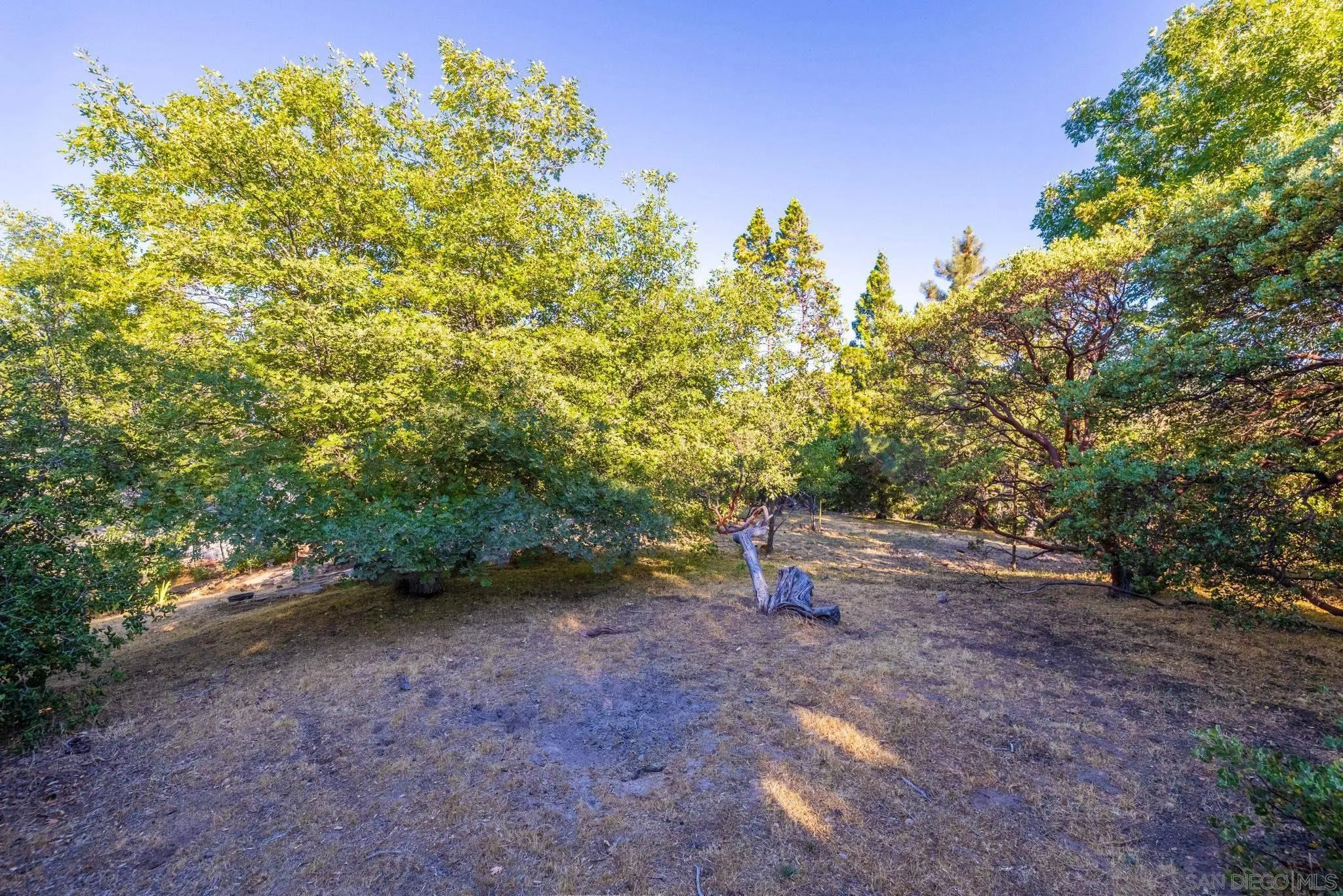 2207 Sunset Drive Julian, CA 92036 - Photo 58 of 65