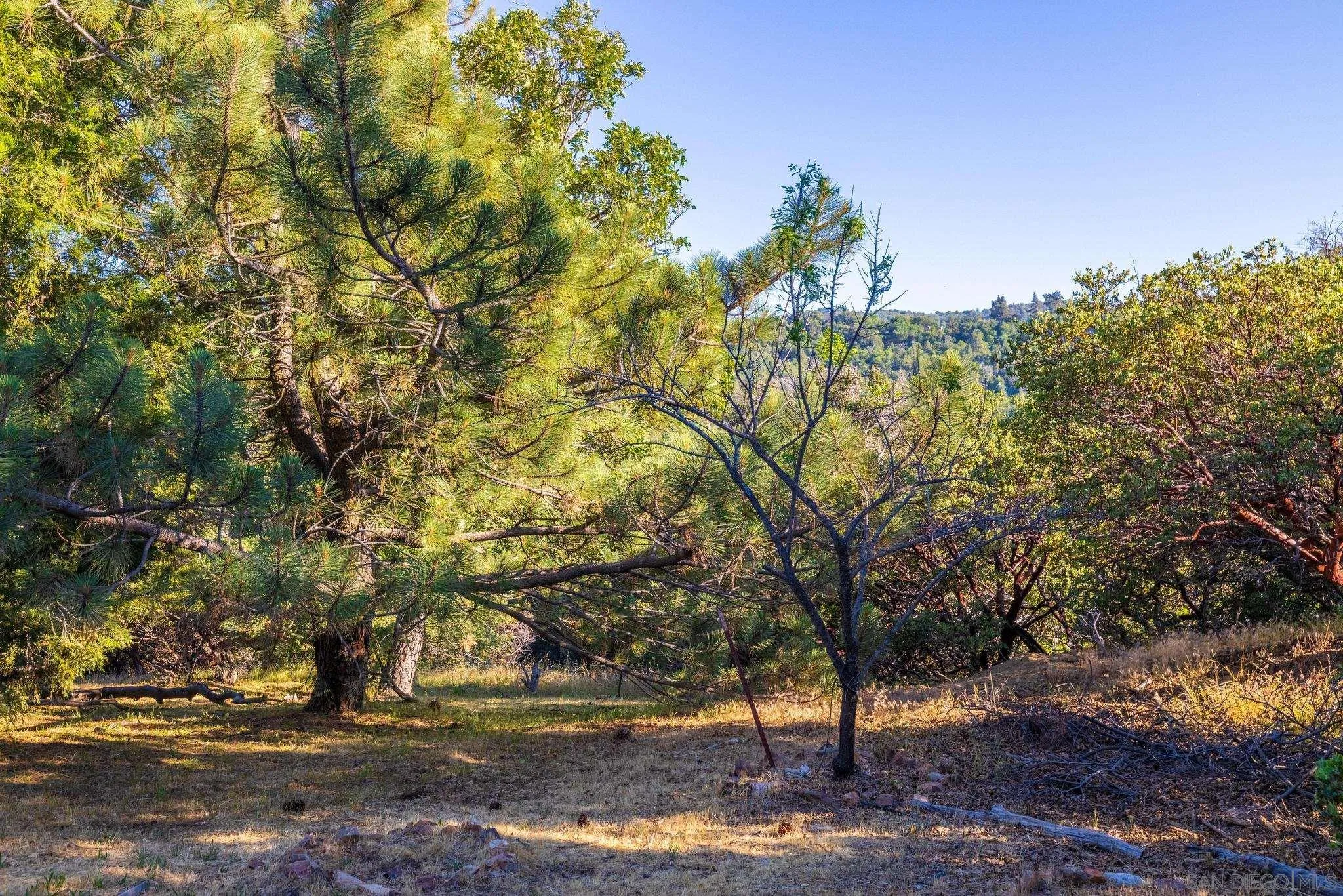 2207 Sunset Drive Julian, CA 92036 - Photo 59 of 65