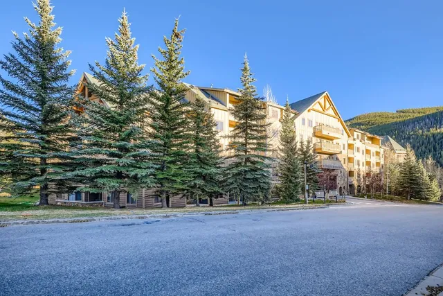 a view of a dry yard with green space