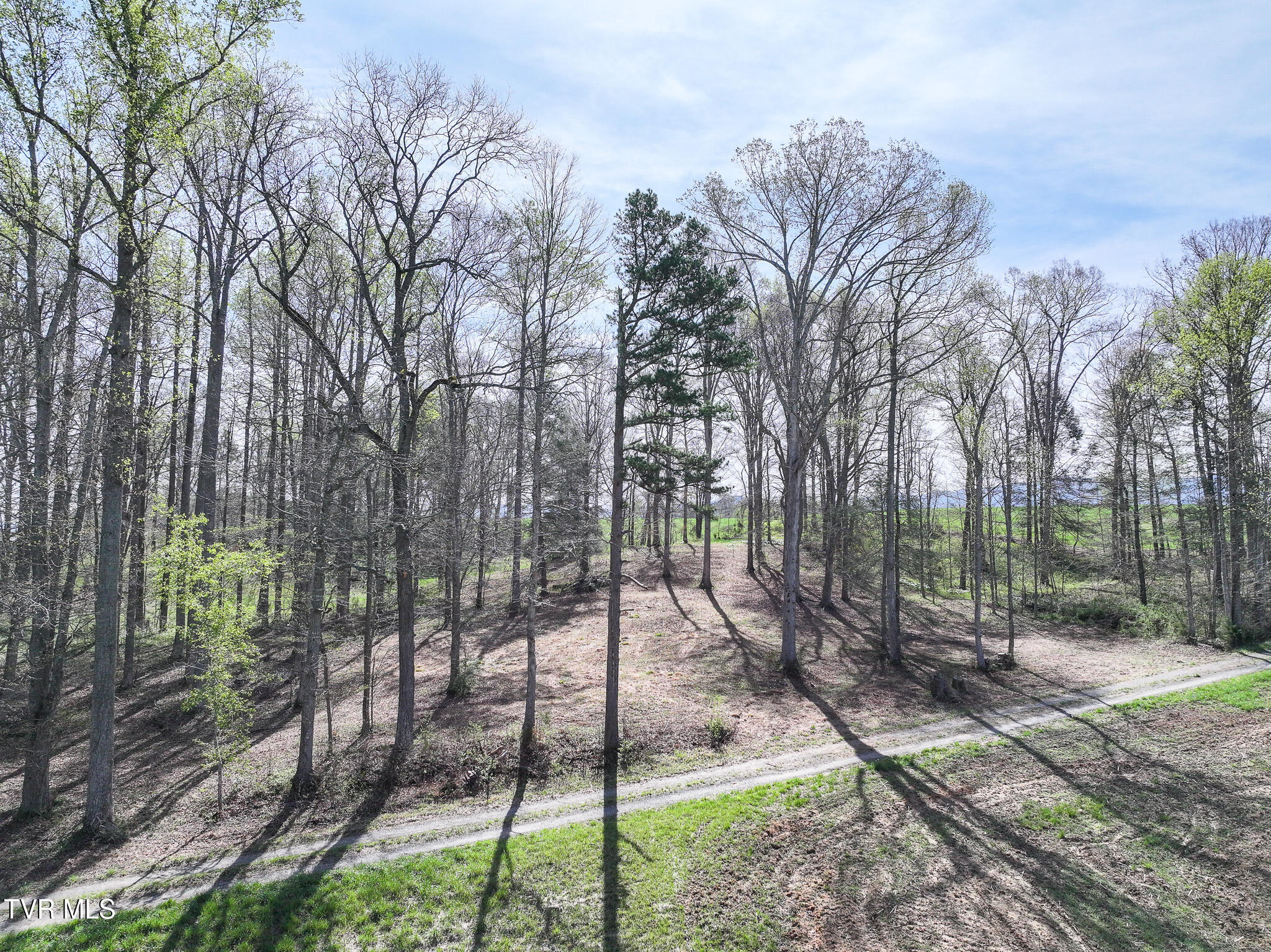 190 Treadway Road Chuckey, TN 37641 - Photo 12 of 34 DJI_20260406095000_0427_D
