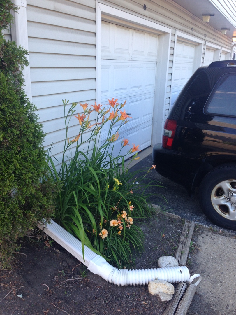 157 Peter Court, Unit D Bartlett, IL 60103 - Photo 16 of 16 a view of a backyard with plants