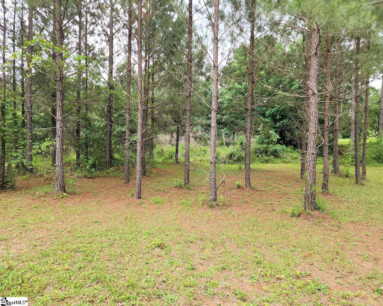 Daventon Road Honea Path, SC 29654 - Photo 12 of 18