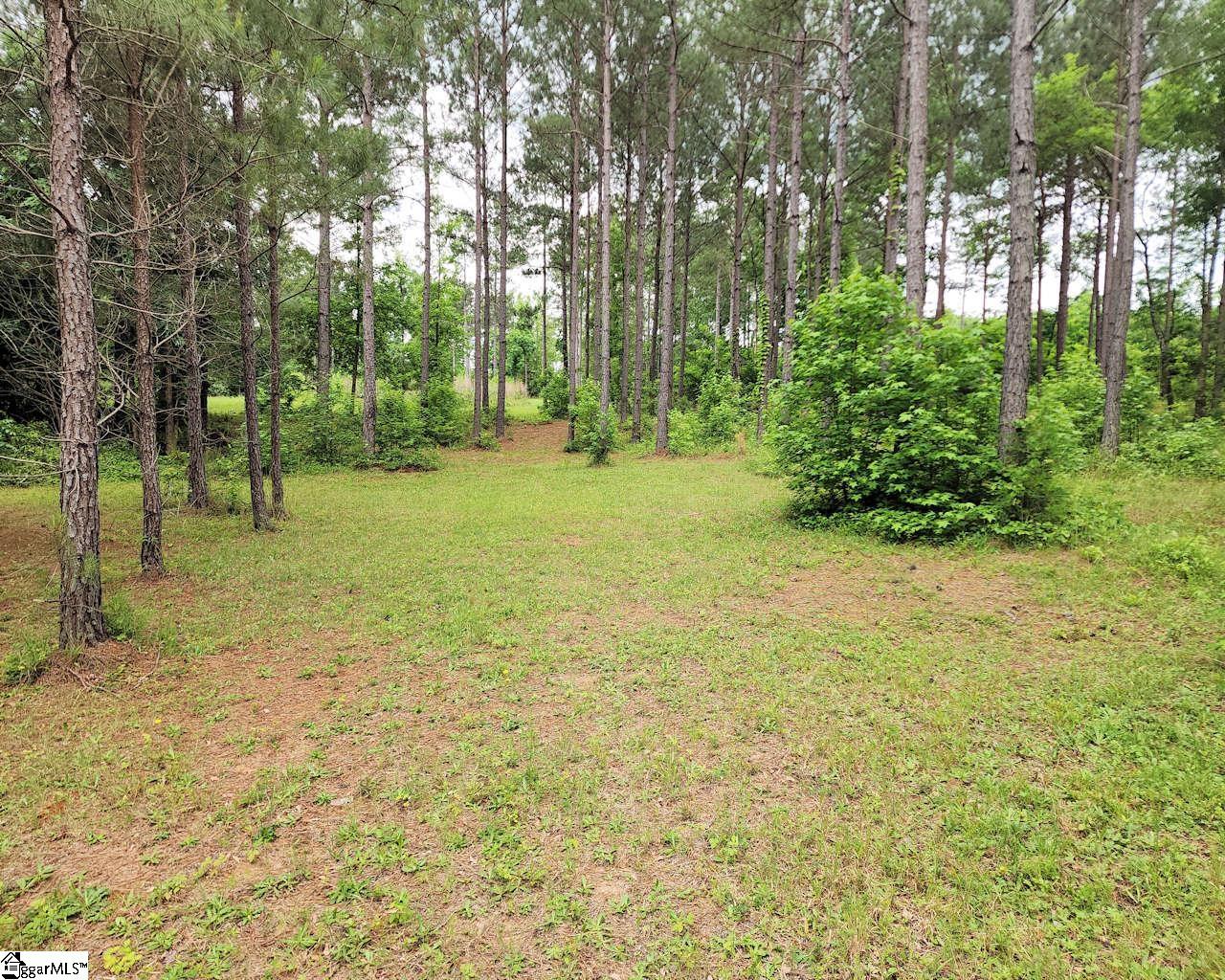 Daventon Road Honea Path, SC 29654 - Photo 13 of 18