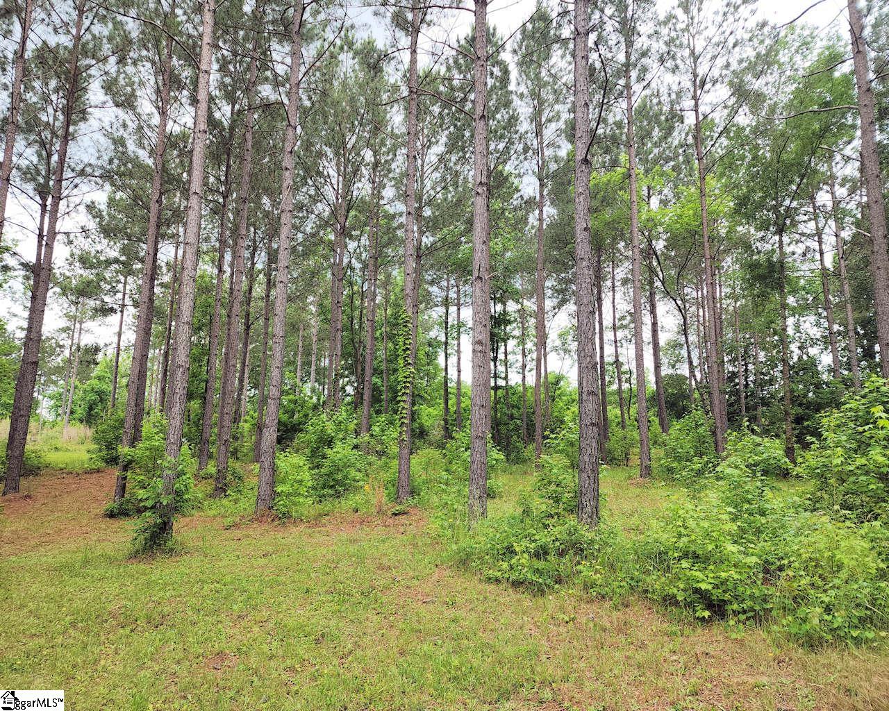 Daventon Road Honea Path, SC 29654 - Photo 14 of 18