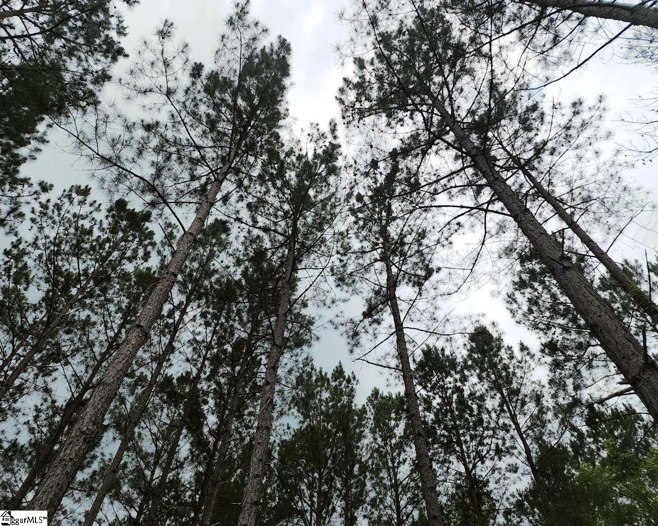 Daventon Road Honea Path, SC 29654 - Photo 15 of 18