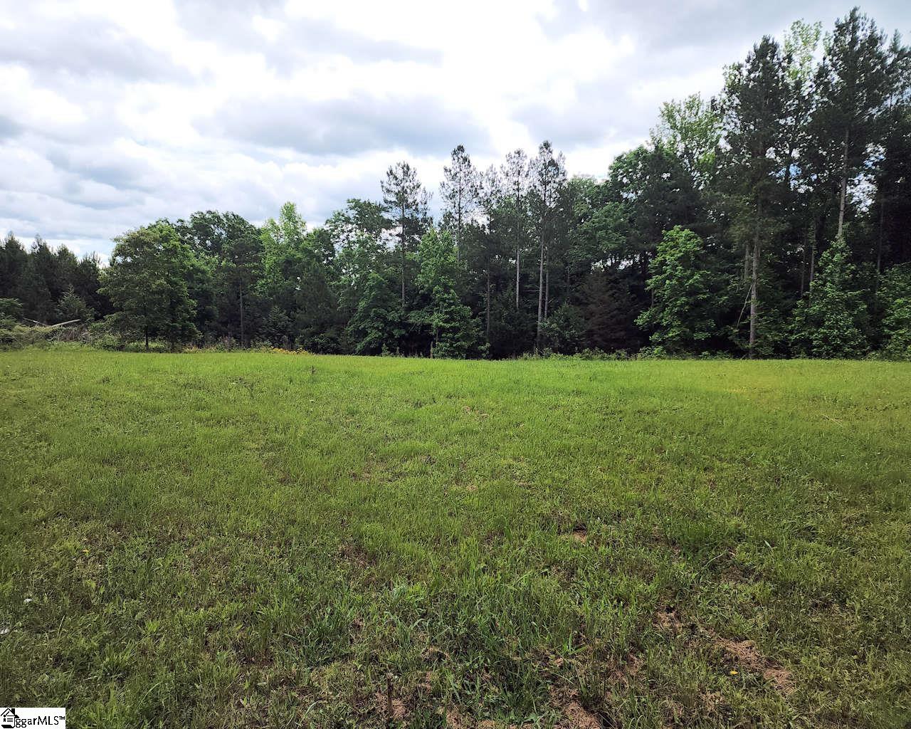 Daventon Road Honea Path, SC 29654 - Photo 4 of 18