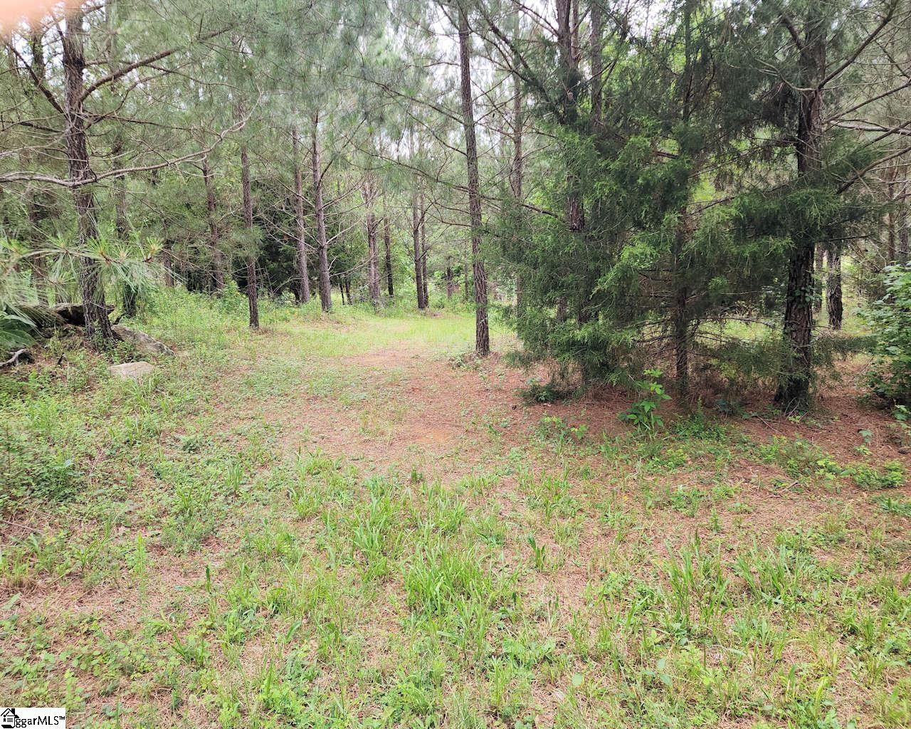 Daventon Road Honea Path, SC 29654 - Photo 7 of 18