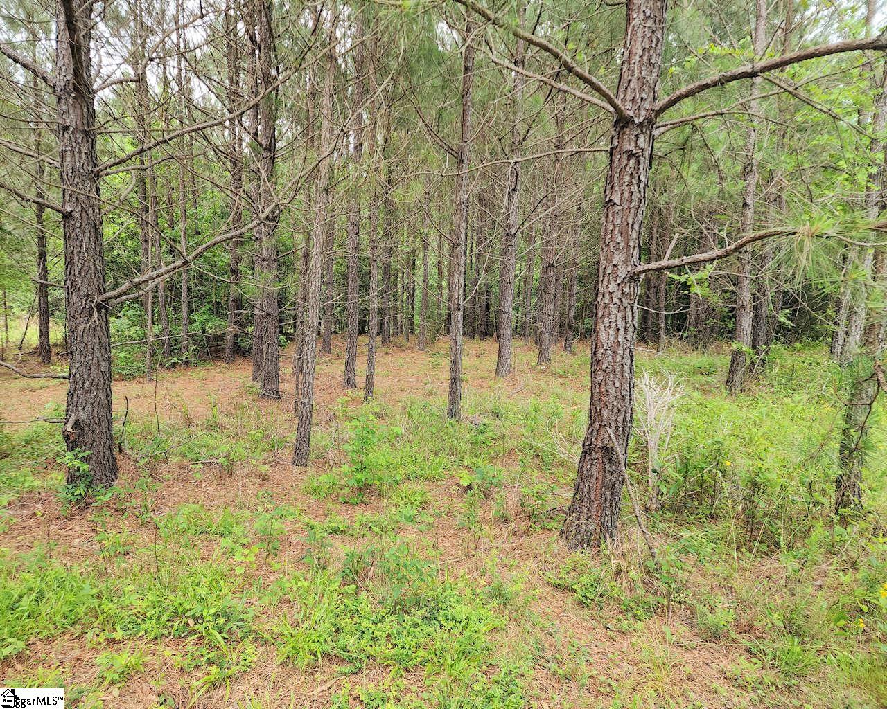 Daventon Road Honea Path, SC 29654 - Photo 9 of 18