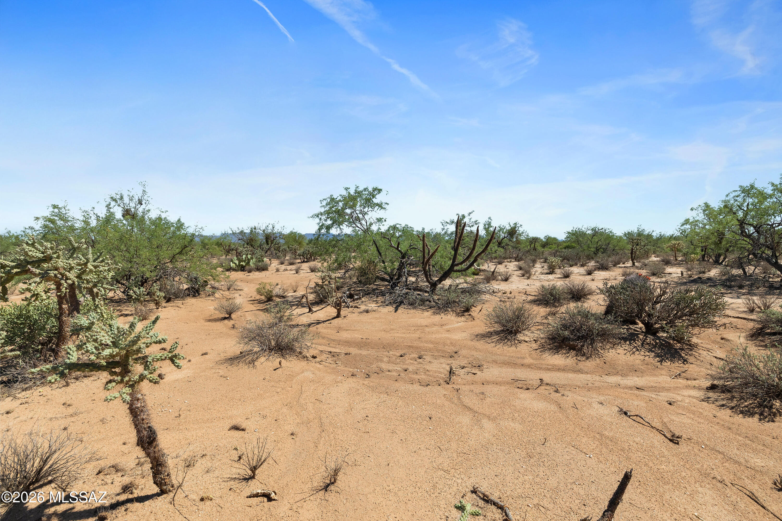 8740 South Sandario Road Tucson, AZ 85736 - Photo 7 of 16 5Y9A5865