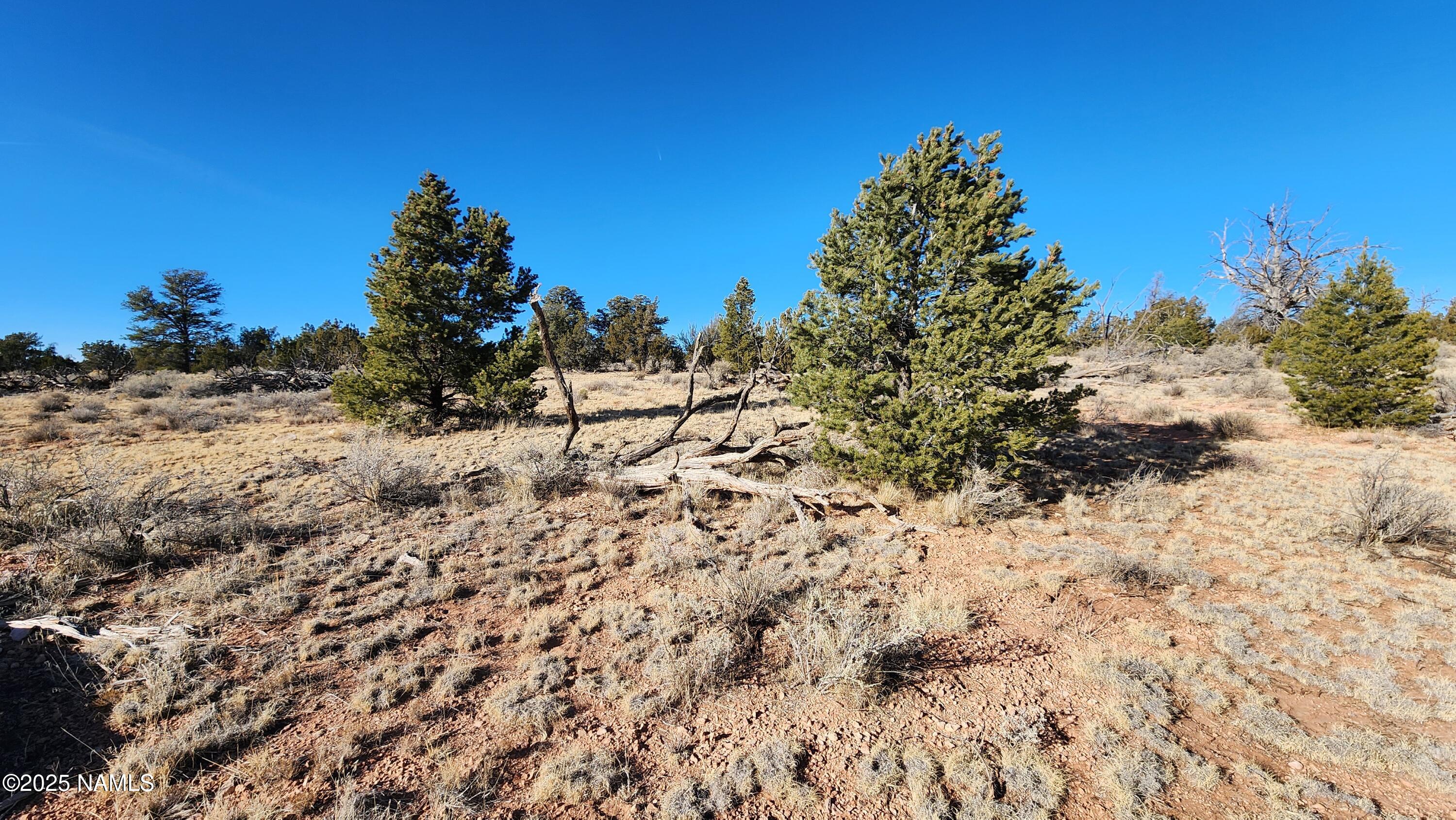 5535 Red Butte Road Williams, AZ 86046 - Photo 31 of 40 1000024134