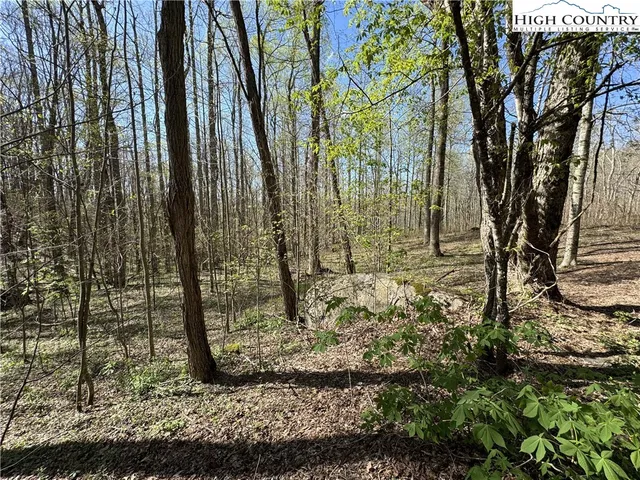a view of a backyard of the house