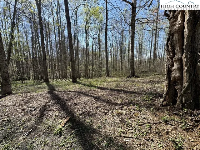 a view of outdoor space with lots of trees