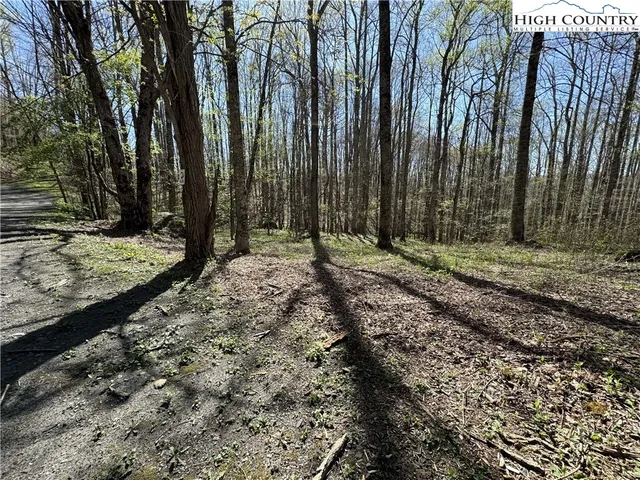 a view of outdoor space with trees