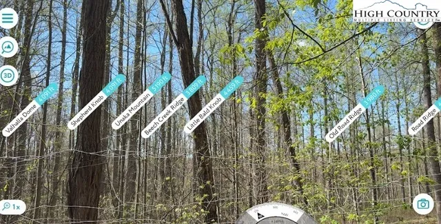 a view of a bathroom with small plants and a toilet