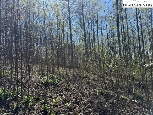 a view of outdoor space with garden