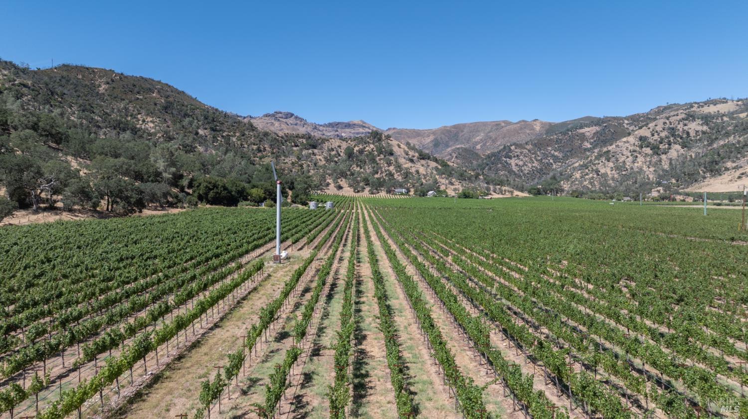 0 Rosedale Road Calistoga, CA 94515 - Photo 15 of 23 Gallery Image 15