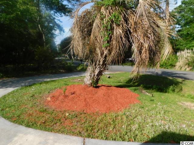 51 Plantation Road Myrtle Beach, SC 29588 - Photo 5 of 40 Gallery Image 5