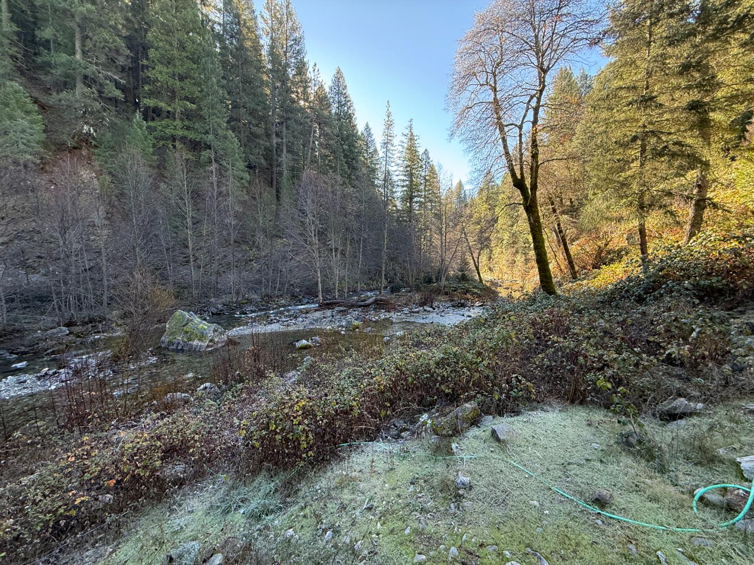 280 Gold Bluff Road Downieville, CA 95936 - Photo 42 of 45