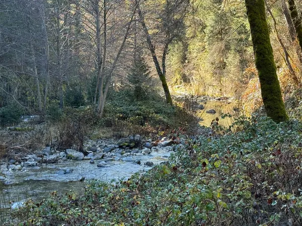 a view of outdoor space and water
