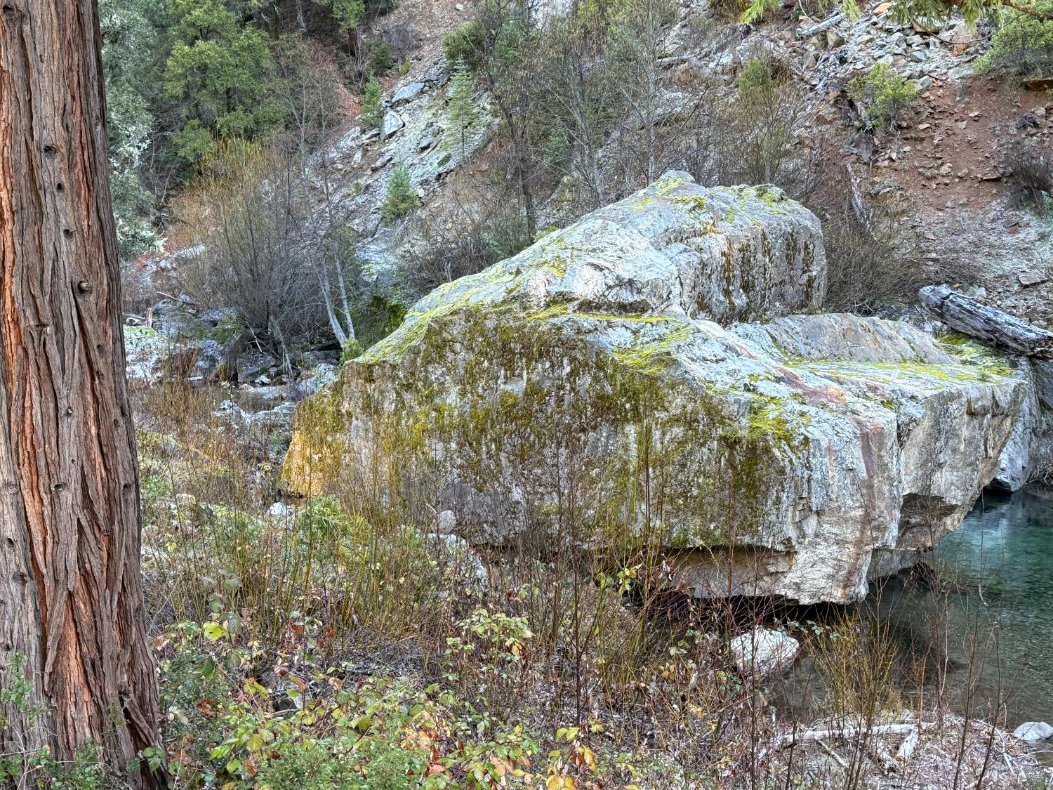 280 Gold Bluff Road Downieville, CA 95936 - Photo 45 of 45