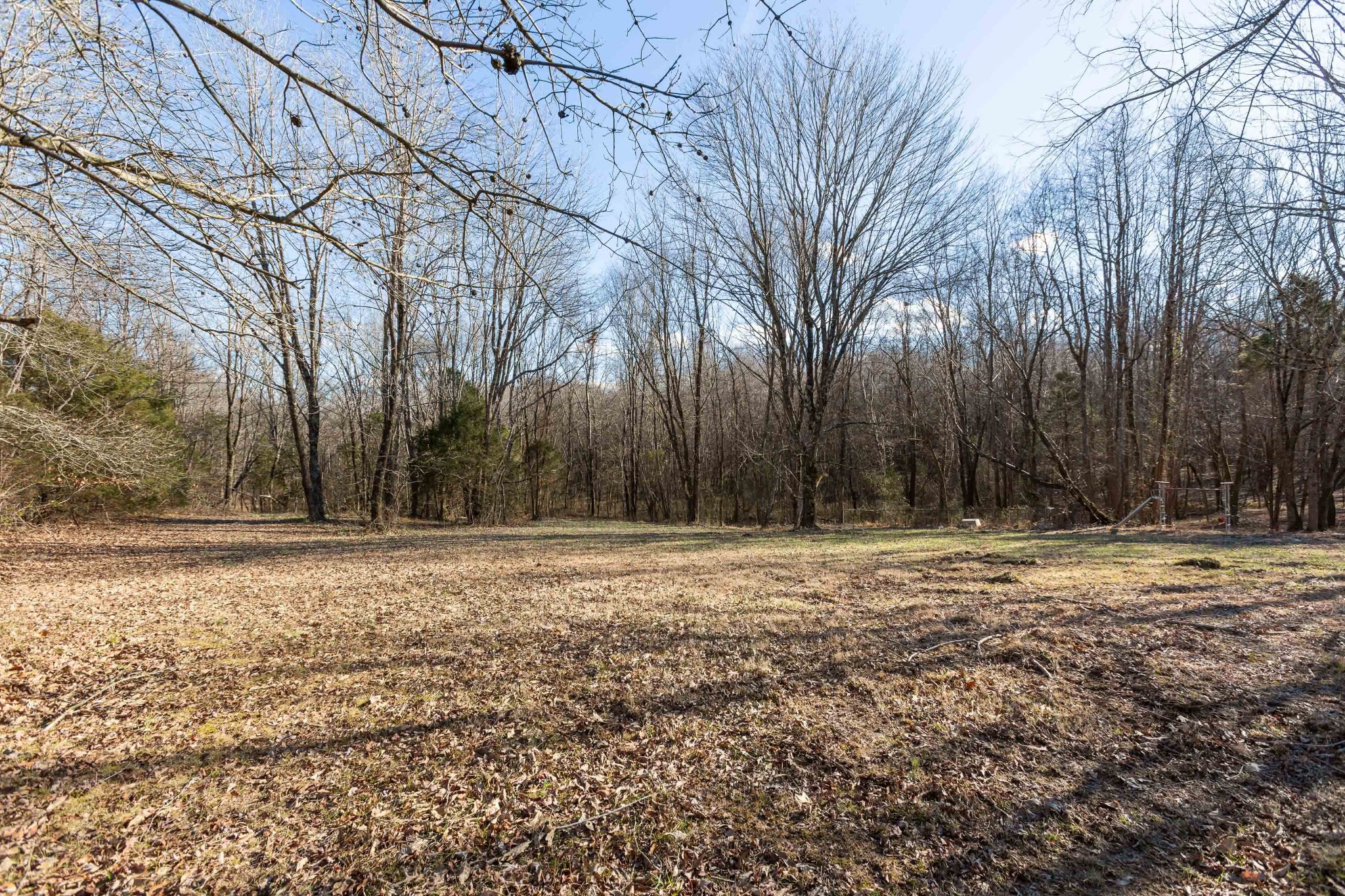 6169 Highway 76 Springfield, TN 37172 - Photo 29 of 34 a view of a yard with trees