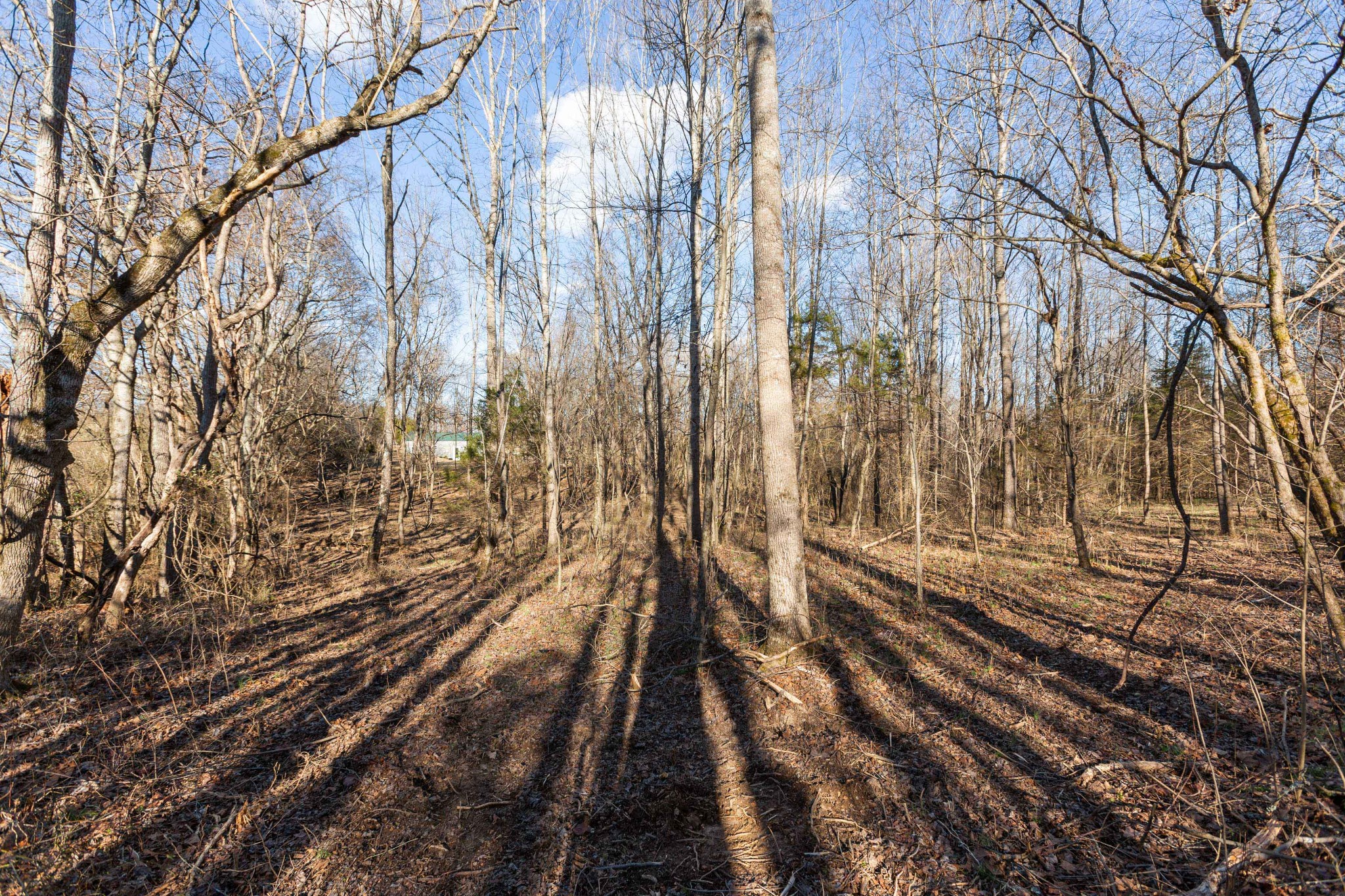 6169 Highway 76 Springfield, TN 37172 - Photo 31 of 34 a view of a pathway of a yard