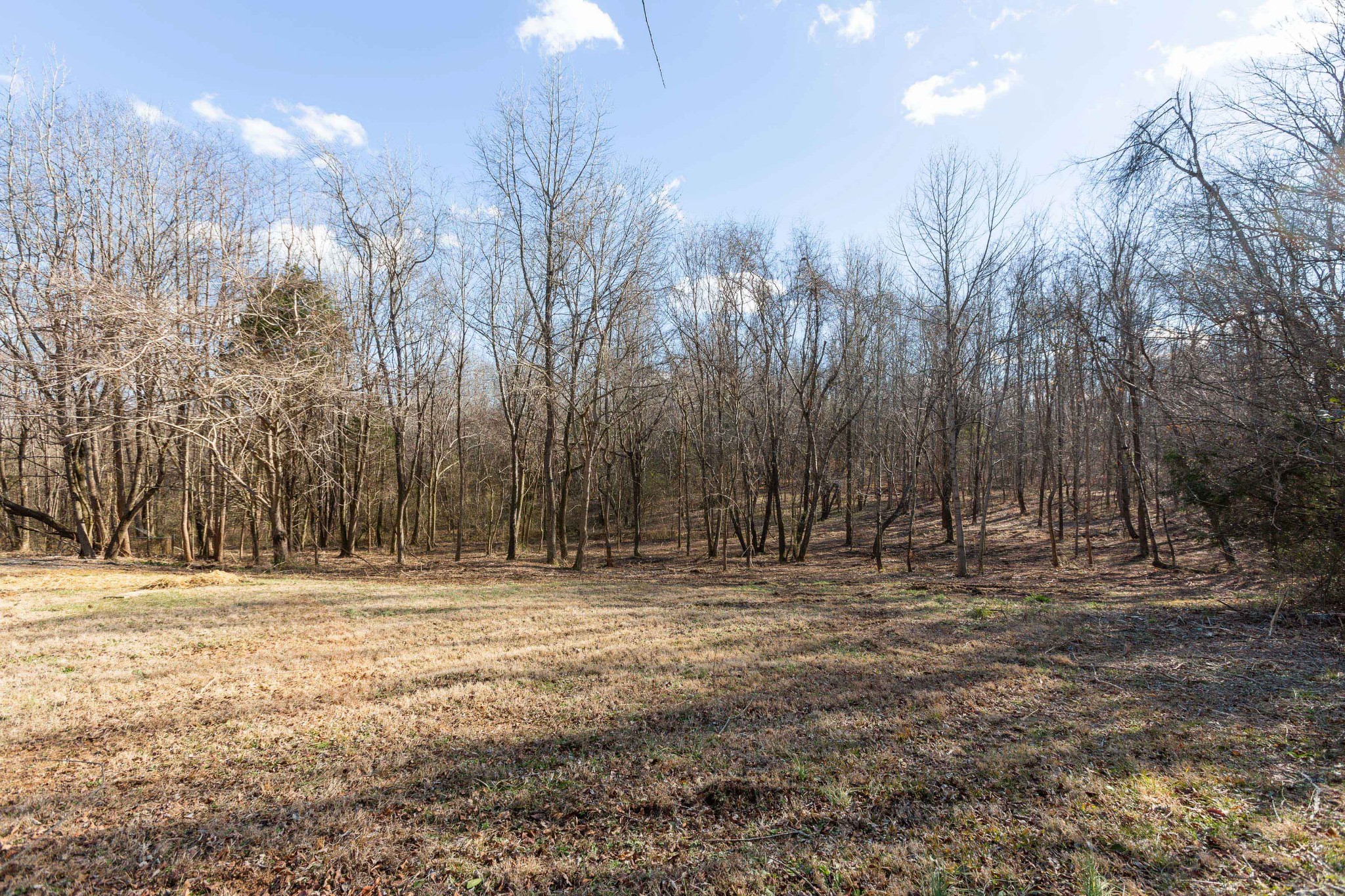 6169 Highway 76 Springfield, TN 37172 - Photo 32 of 34 a view of outdoor space with trees