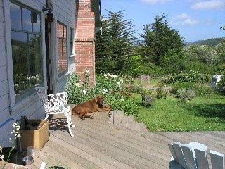 12-14 Weymouth Bluff Road Ferndale, CA 95536 - Photo 42 of 77