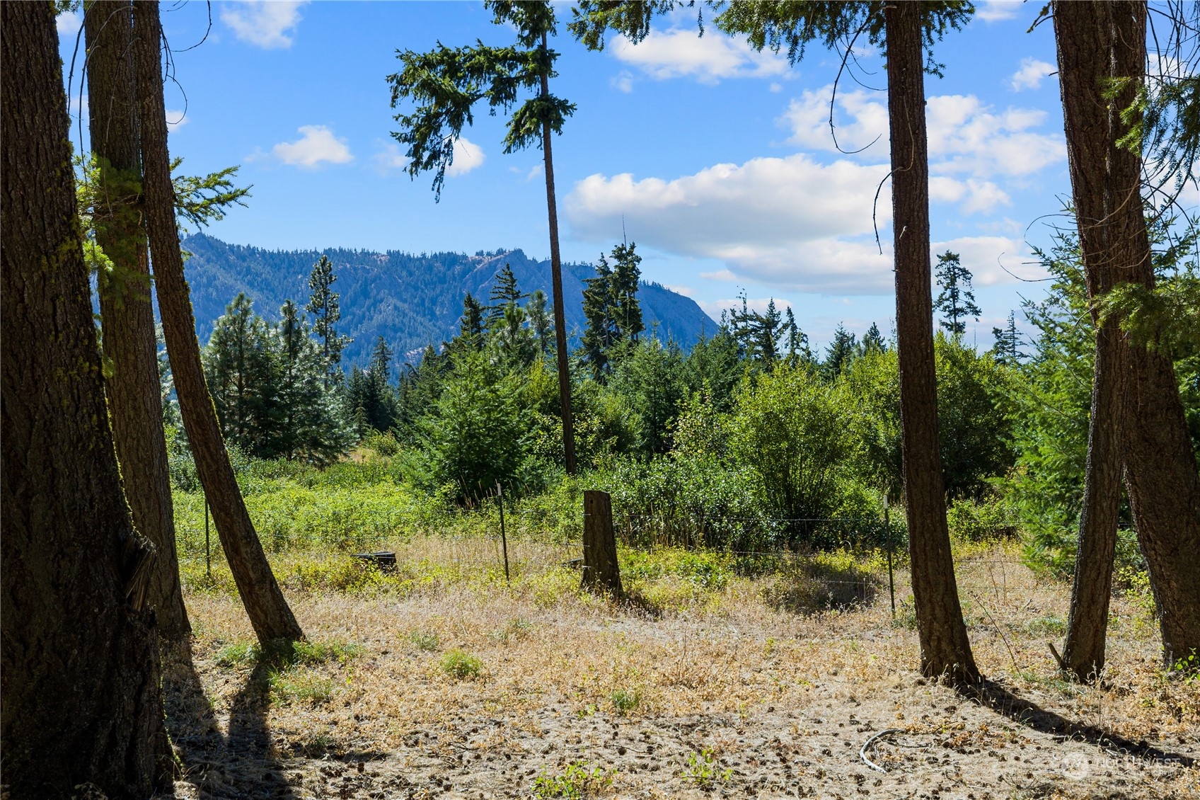 871 Hawk Haven Road Cle Elum, WA 98922 - Photo 39 of 39 Gallery Image 39