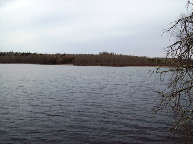 11787 Butternut Lake Road Butternut, WI 54514 - Photo 20 of 20 Gallery Image 20